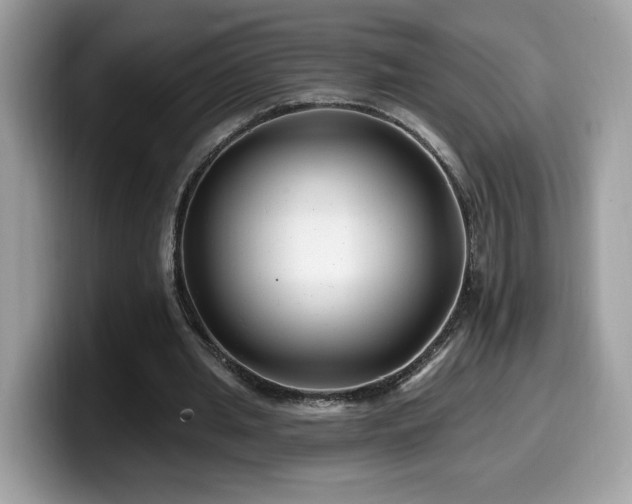 X0000099970437200805301337