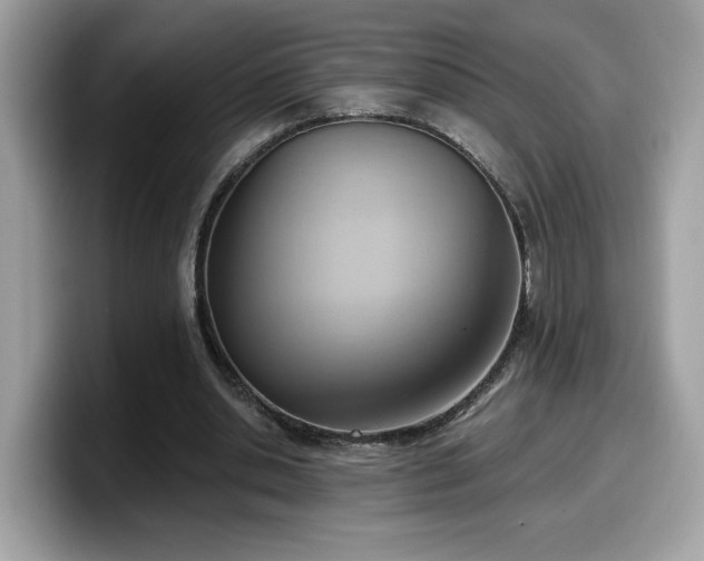 X0000099970438200805301337