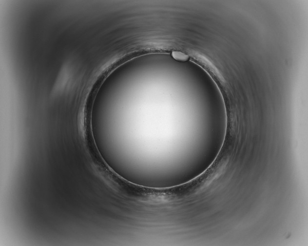 X0000099970439200805301337