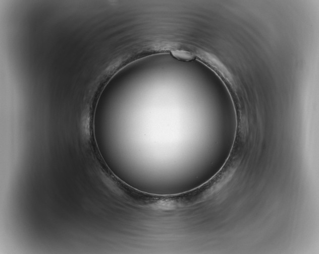 X0000099970441200805301337