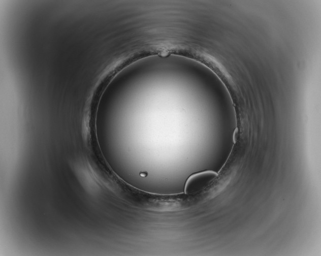 X0000099970443200805301337