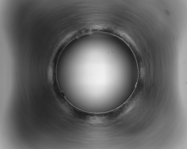 X0000099970444200805301337