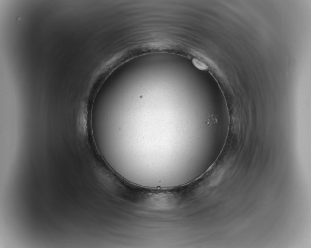 X0000099970446200805301337