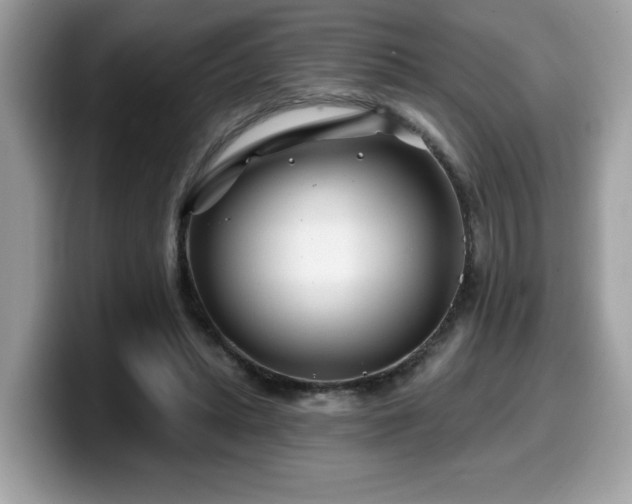 X0000099970447200805301337