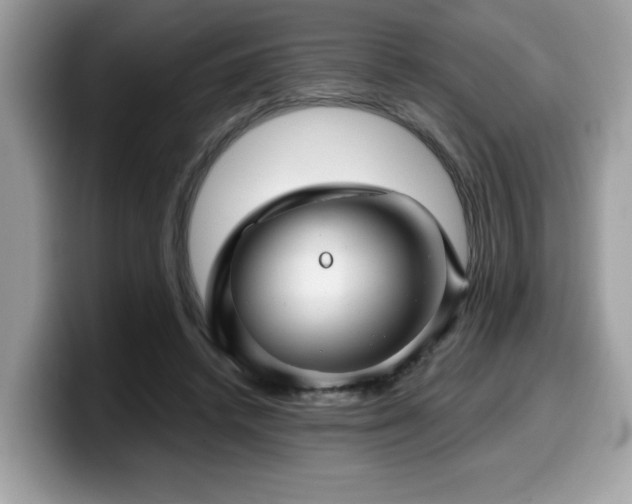 X0000099970448200805301337