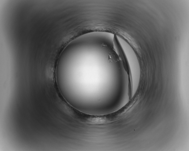 X0000099970449200805301337