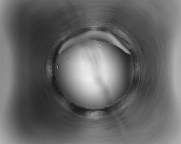 X0000099970452200805301337