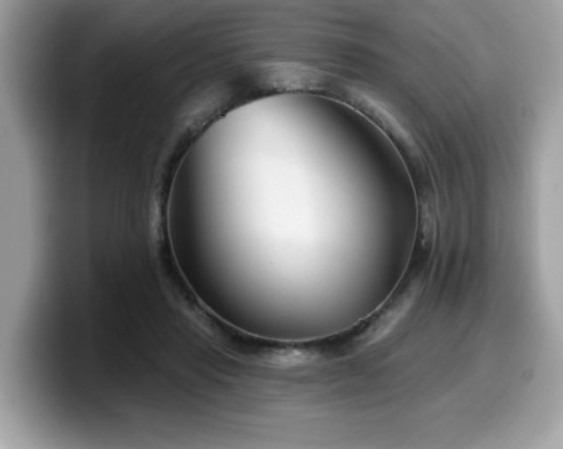 X0000099970453200805301337