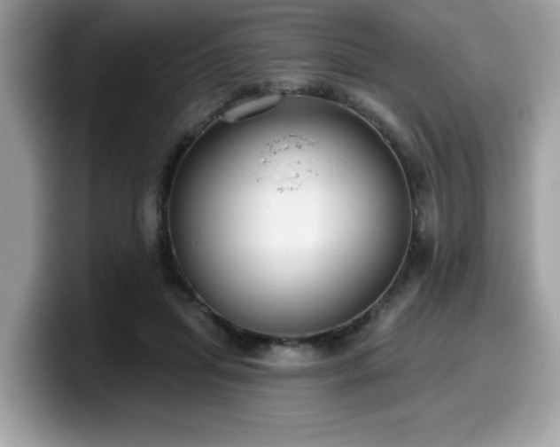 X0000099970455200805301337