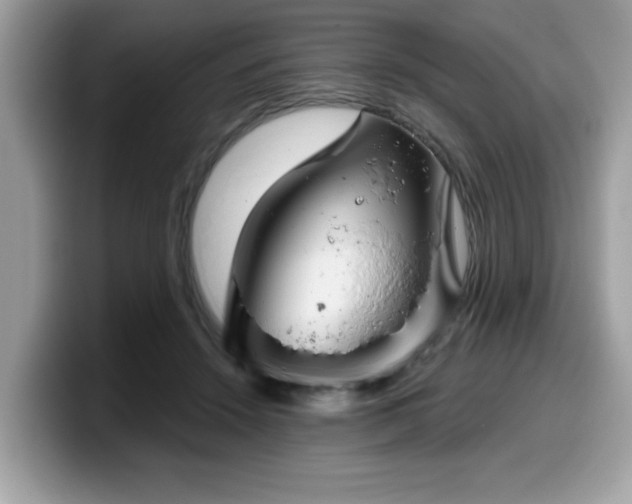 X0000099970456200805301337