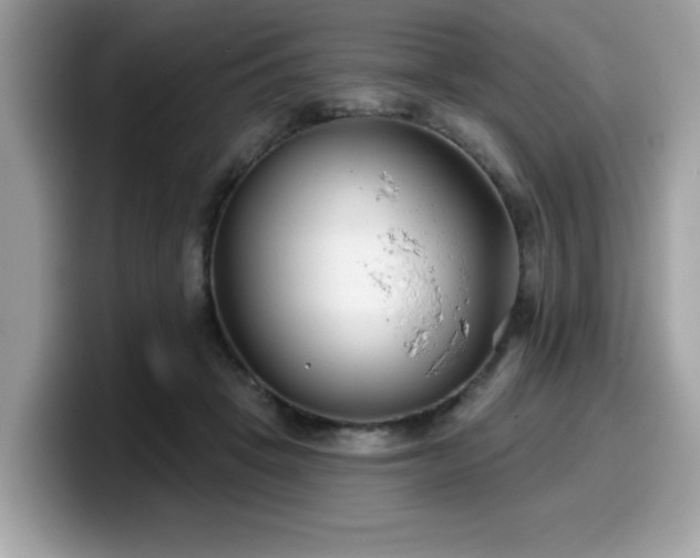 X0000099970457200805301337