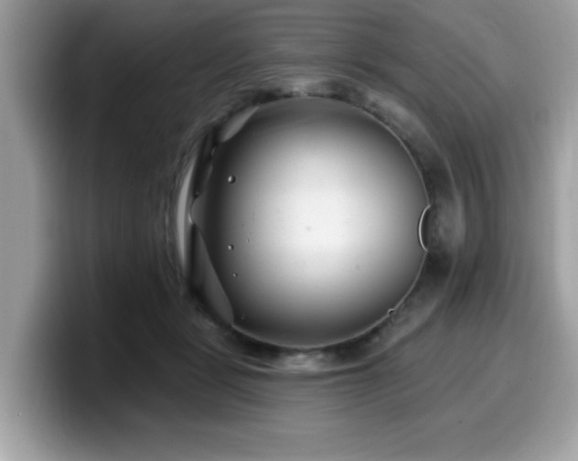 X0000099970461200805301337