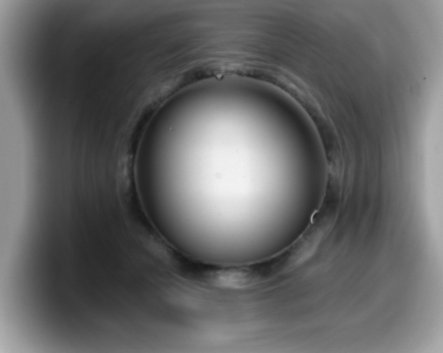 X0000099970462200805301337