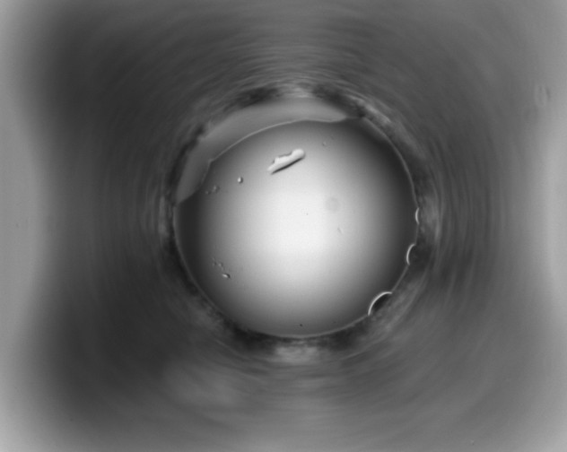 X0000099970470200805301337