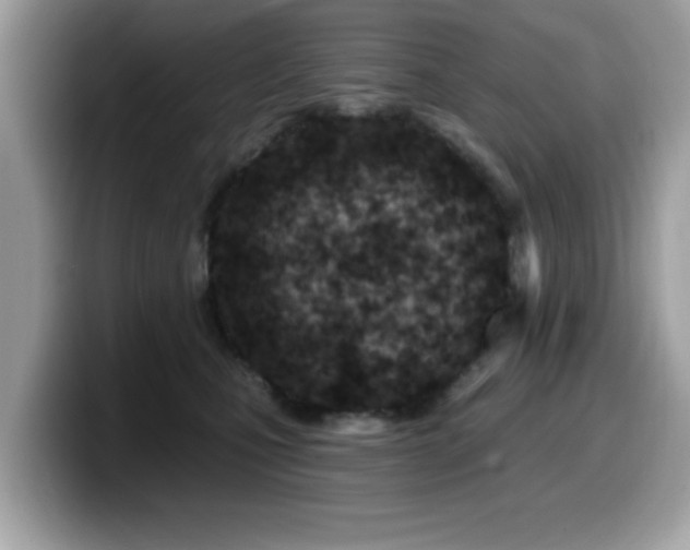 X0000099970471200805301337