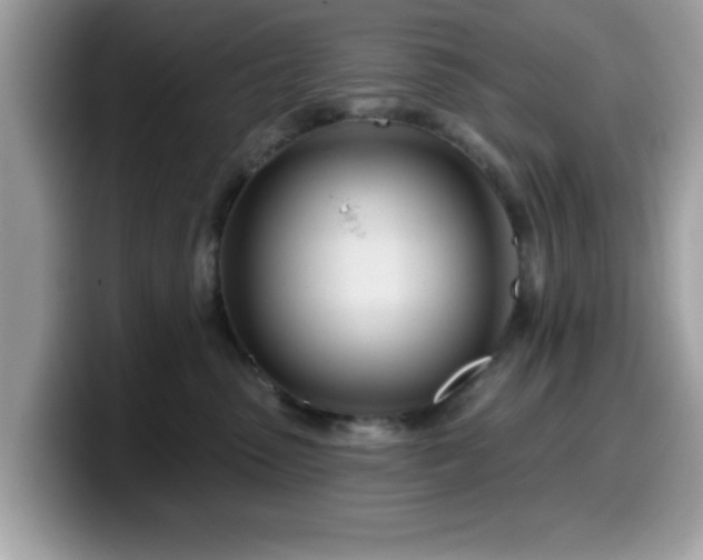 X0000099970475200805301337