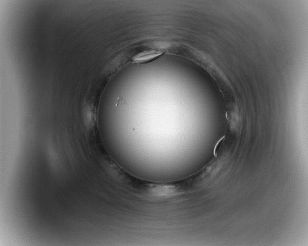 X0000099970476200805301337