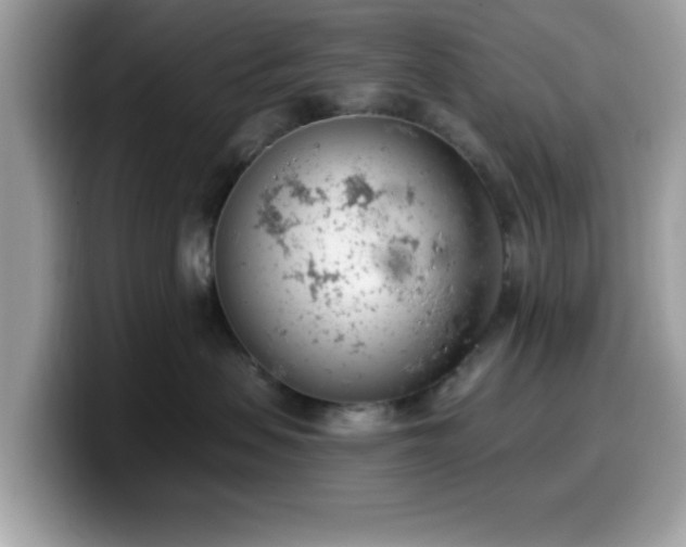 X0000099970479200805301337