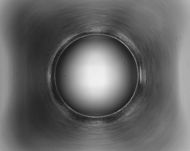 X0000099970483200805301337