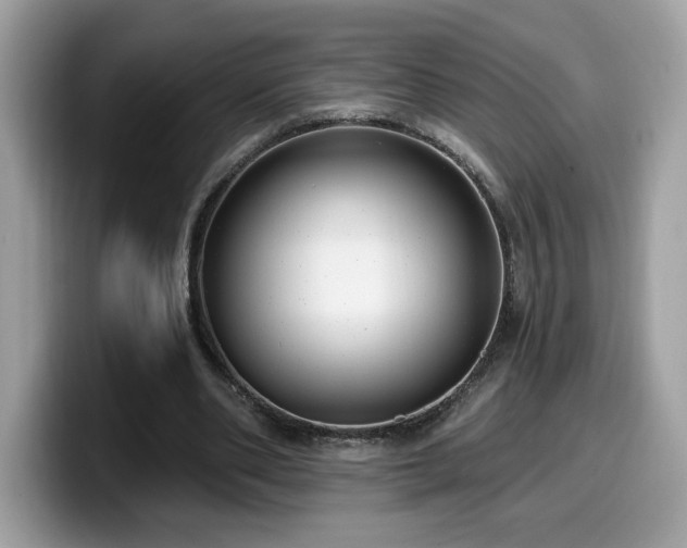 X0000099970486200805301337