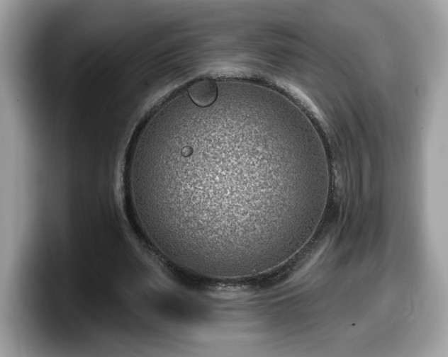 X0000099970487200805301337