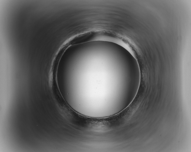 X0000099970488200805301337