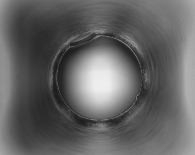 X0000099970492200805301336