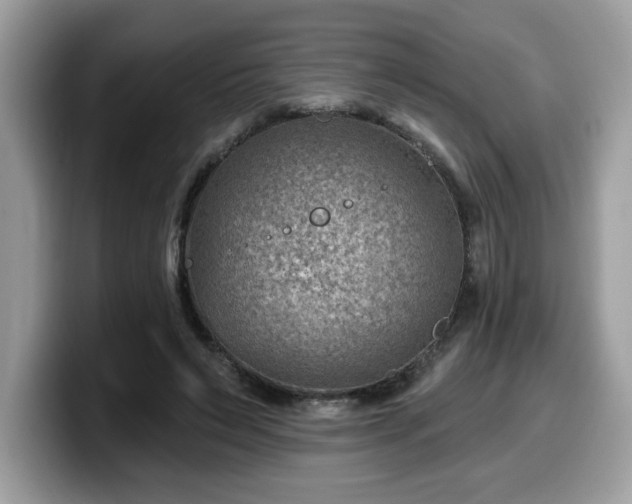 X0000099970495200805301336