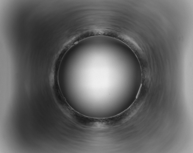 X0000099970496200805301336