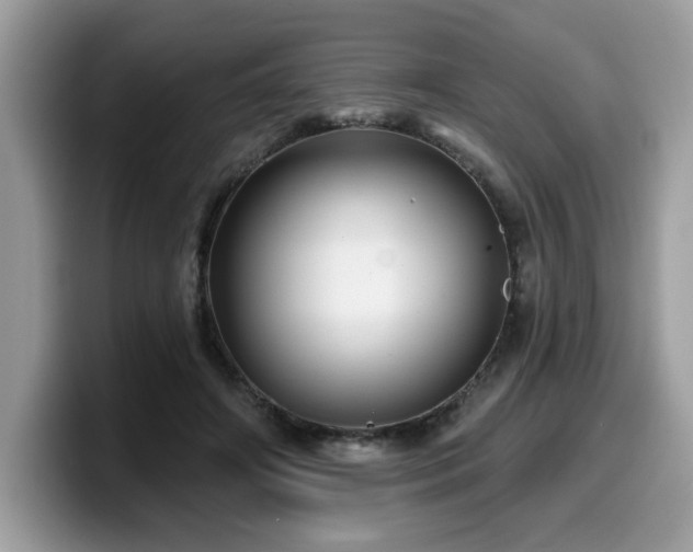 X0000099970498200805301336