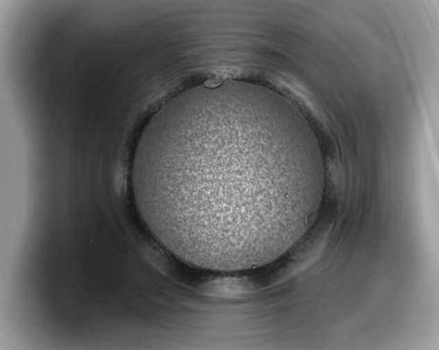 X0000099970499200805301336