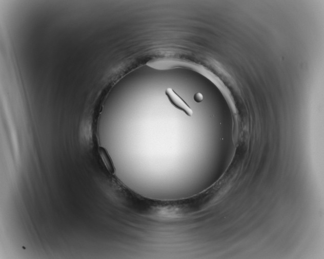 X0000099970500200805301336