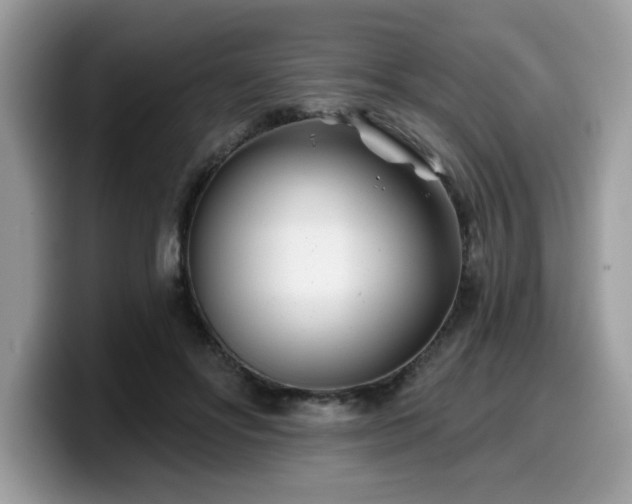 X0000099970502200805301336