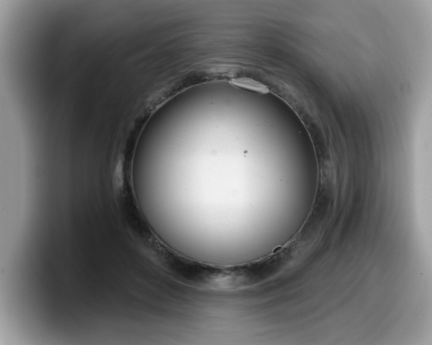 X0000099970504200805301336