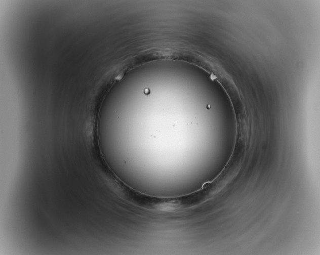 X0000099970505200805301336