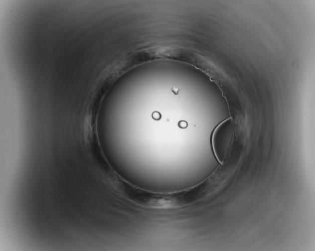 X0000099970506200805301336