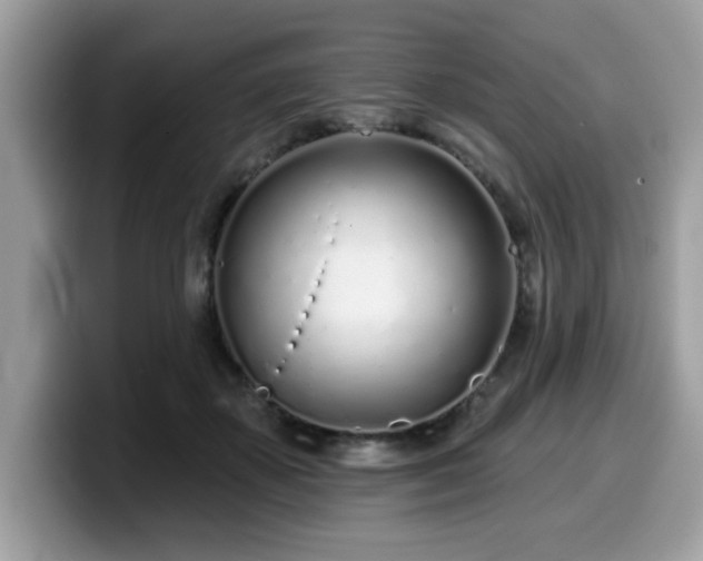 X0000099970507200805301336