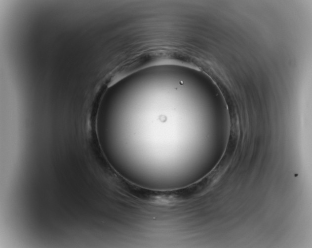 X0000099970508200805301336