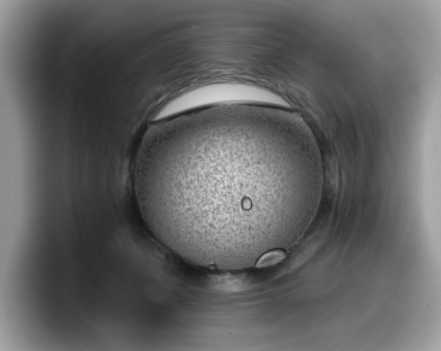 X0000099970511200805301336