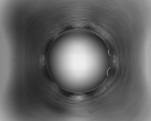 X0000099970514200805301336