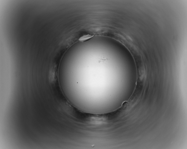 X0000099970515200805301336