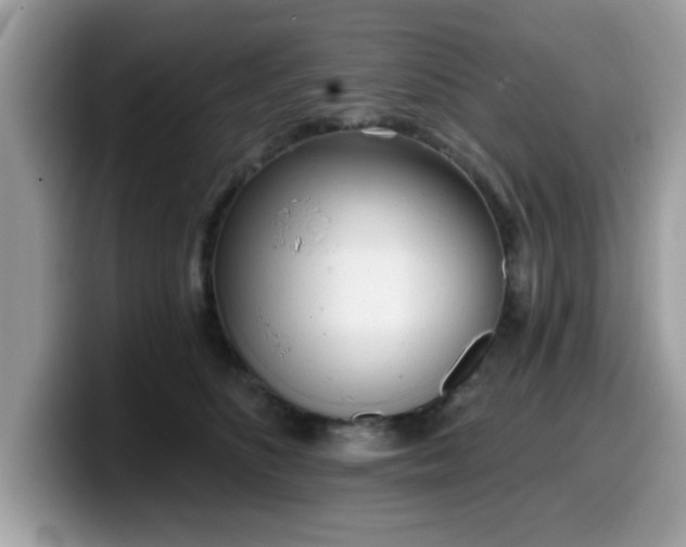 X0000099970516200805301336