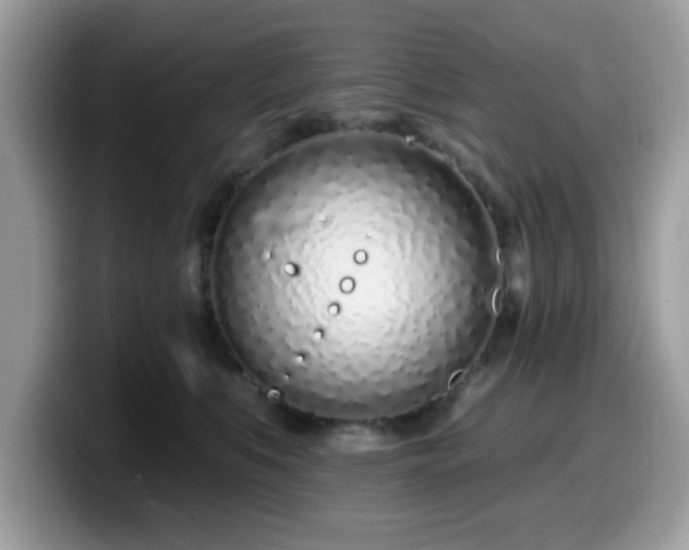 X0000099970519200805301336