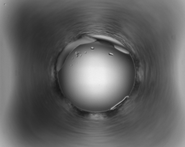 X0000099970520200805301336