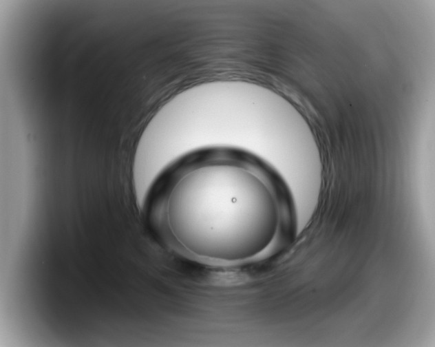 X0000099970521200805301336