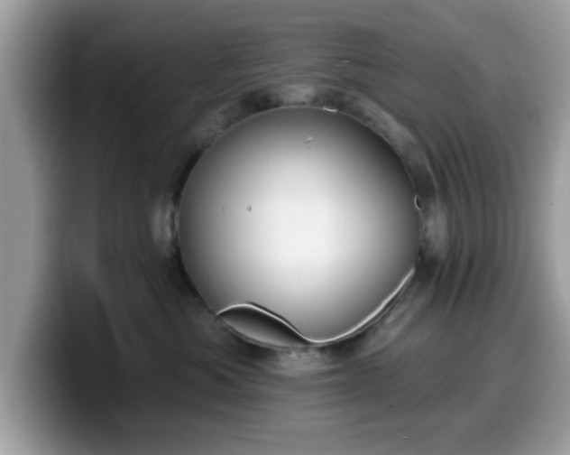 X0000099970525200805301336