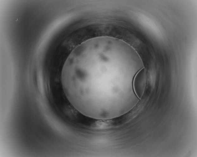 X0000099970526200805301336