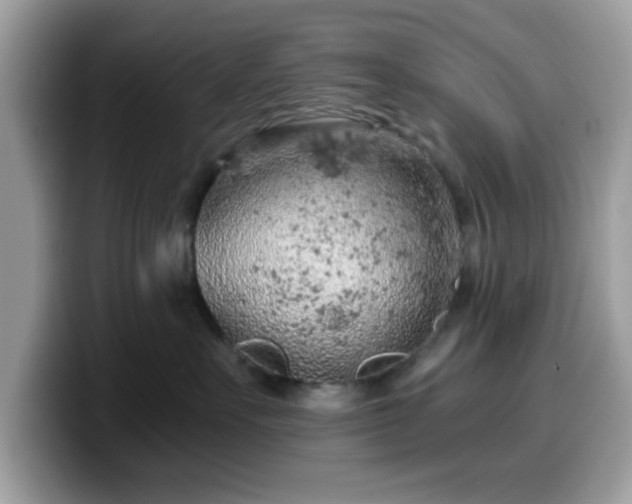 X0000099970527200805301336