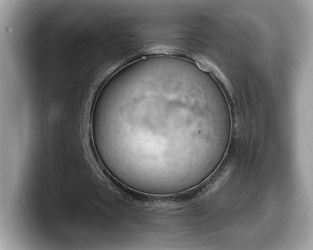 X0000099970529200805301335