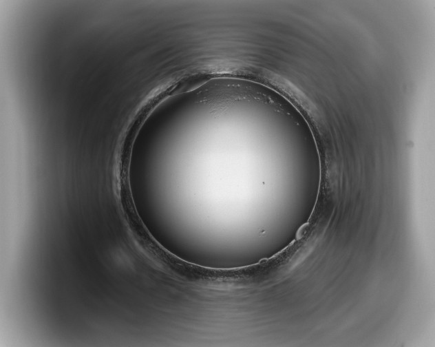 X0000099970530200805301335